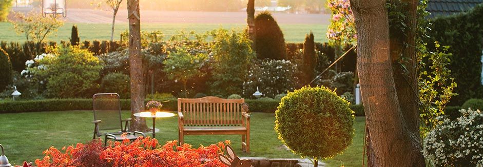 ein Garten mit einem Stuhl im Sonnenschein